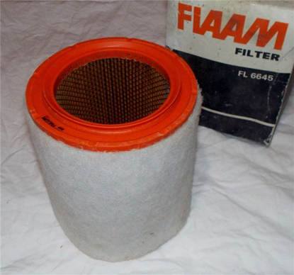 Picture of air filter element Fuel Injection i.e