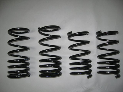 Picture of lowering springs