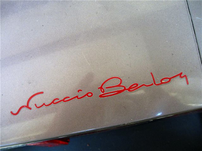 Afbeeldingen van sticker handtekening NUCCIO BERTONE